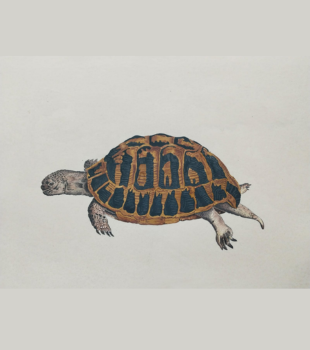 Handmade Paper Painting